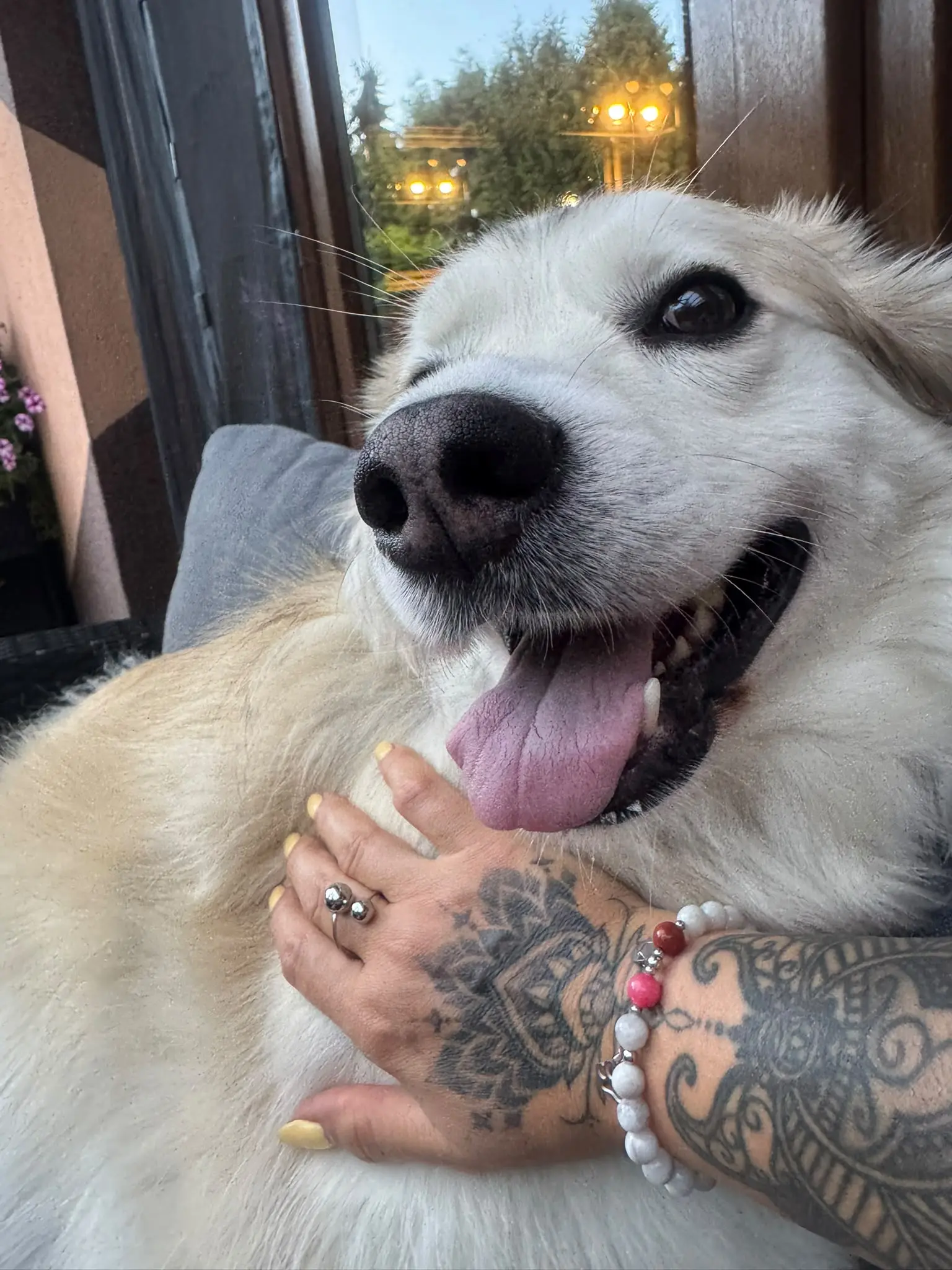 Bransoletka PET STORY – historia Lili