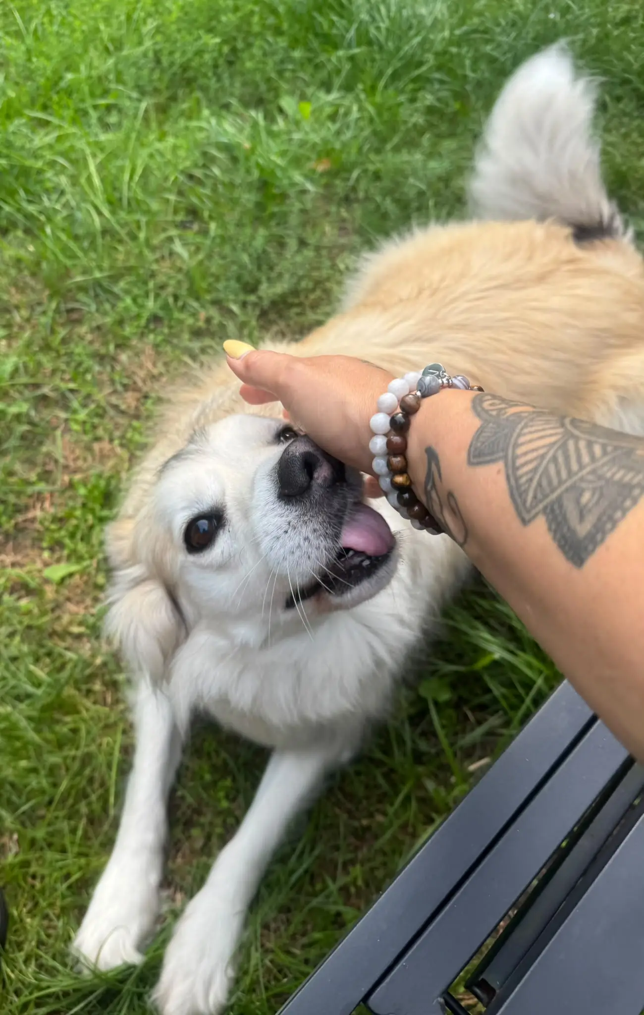 Bransoletka PET STORY noszona na co dzień