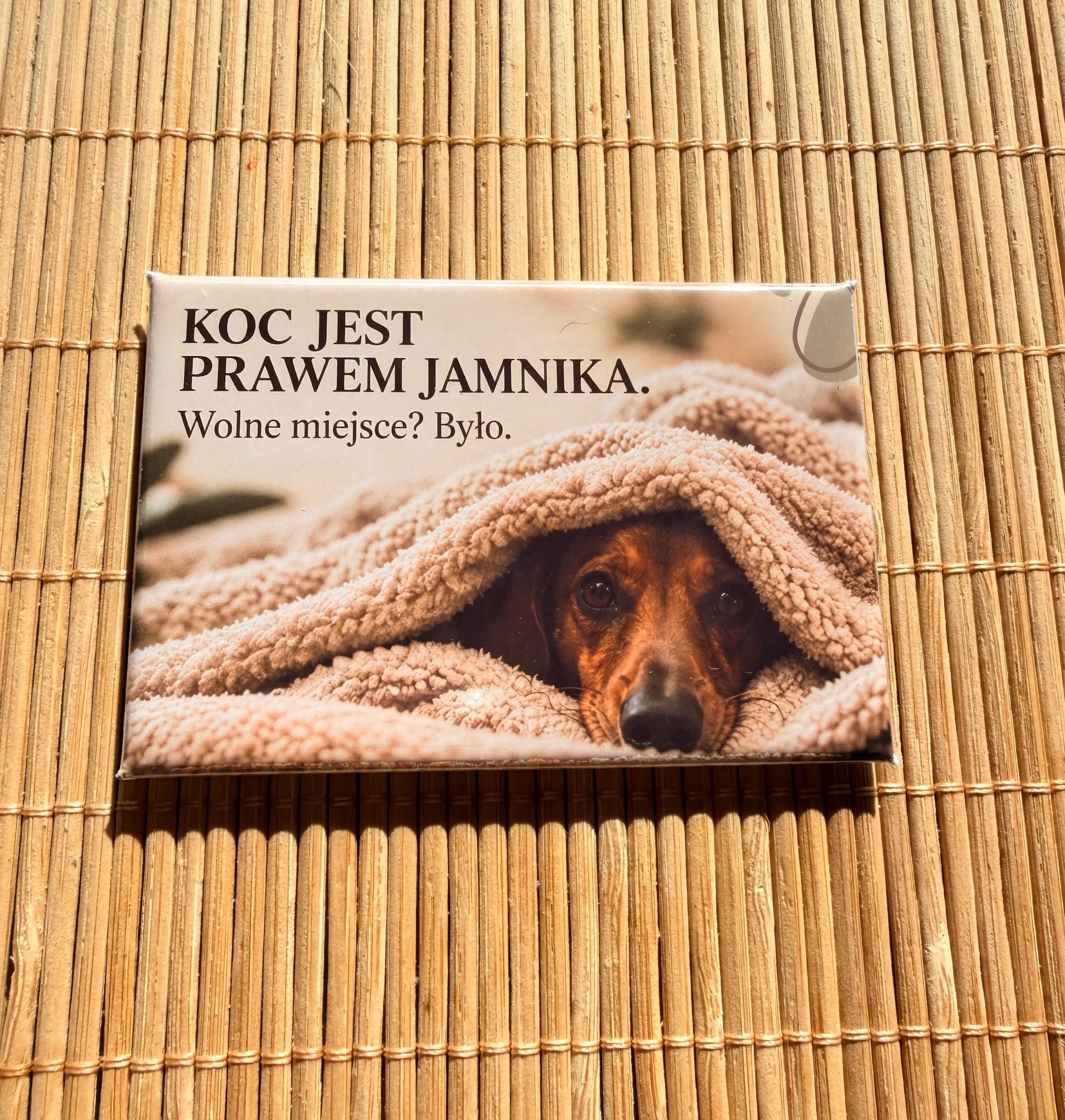 Magnes 3 z jamnikiem