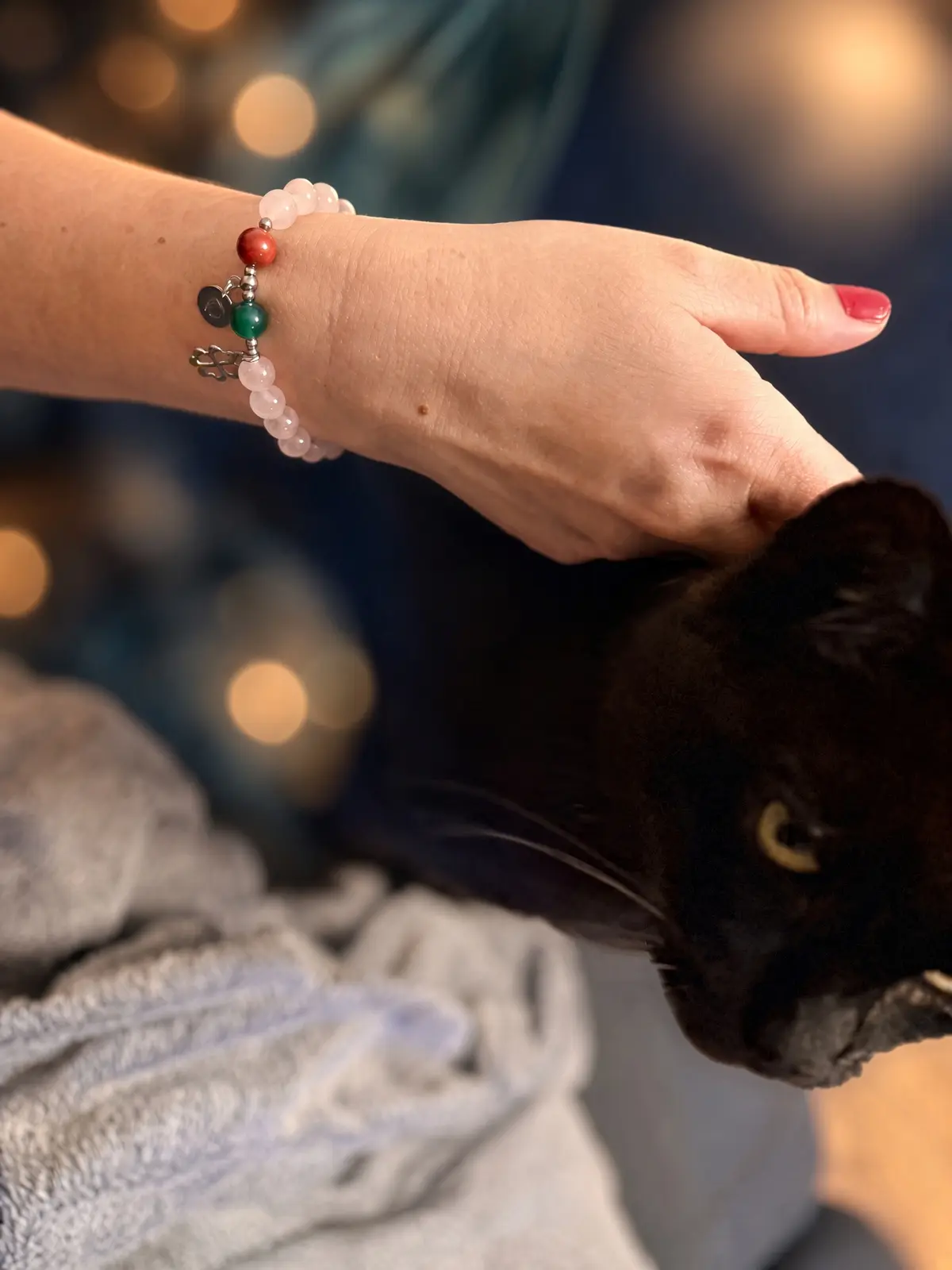 Kot Denis z bransoletką PET STORY PUDER