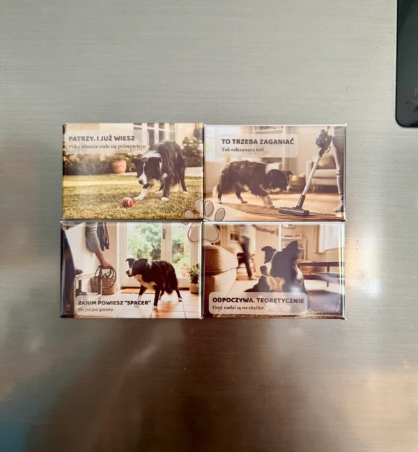 DOMOWE HISTORIE · Border Collie