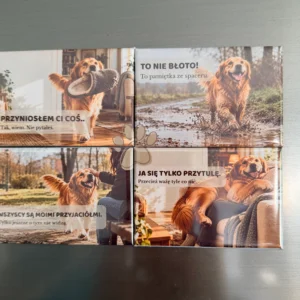 DOMOWE HISTORIE · Golden Retriever