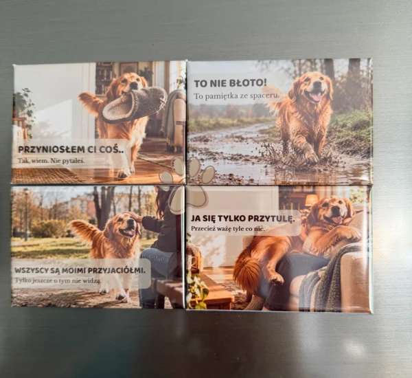 DOMOWE HISTORIE · Golden Retriever