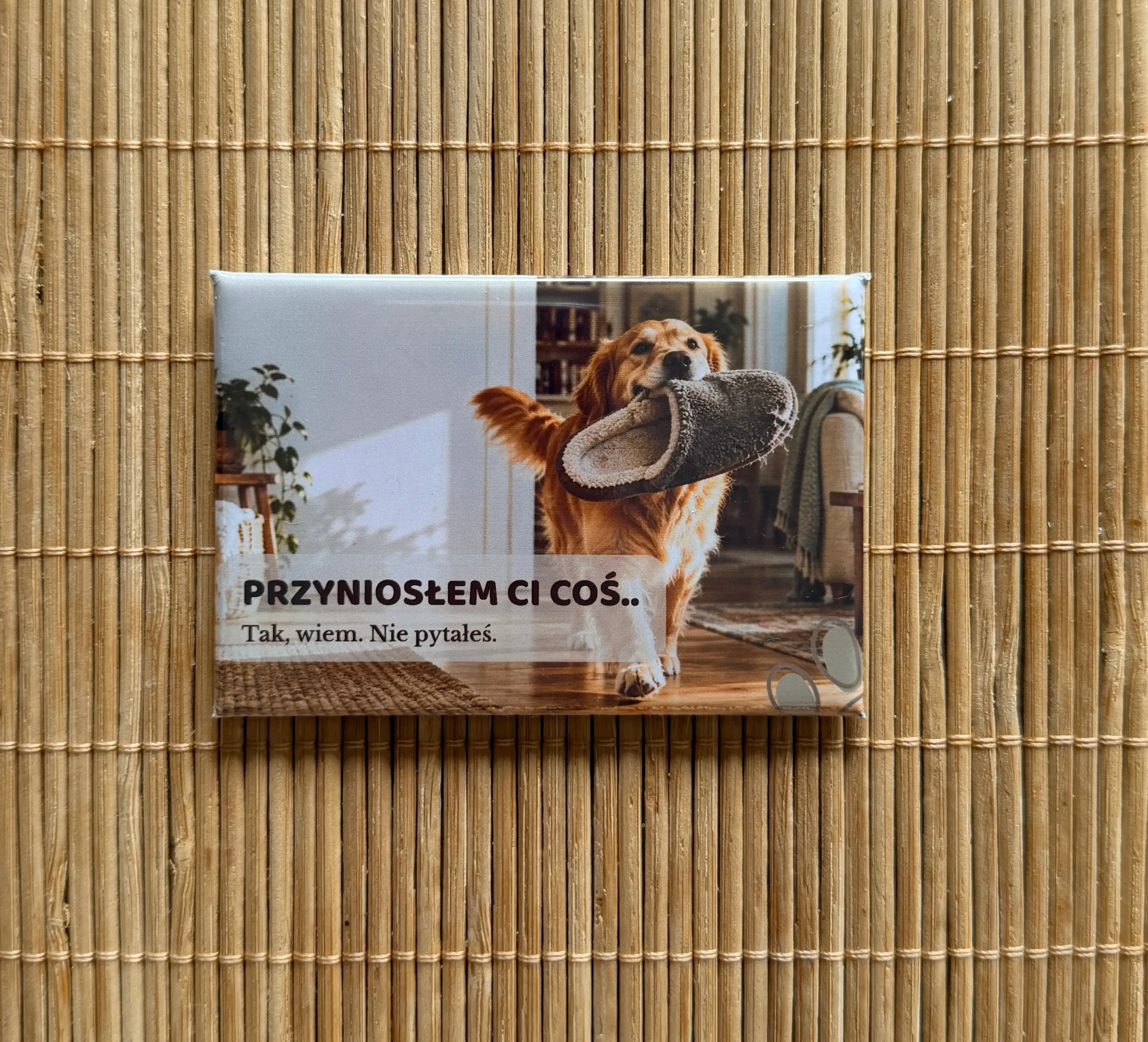 Magnes z goldenem retrieverem 1