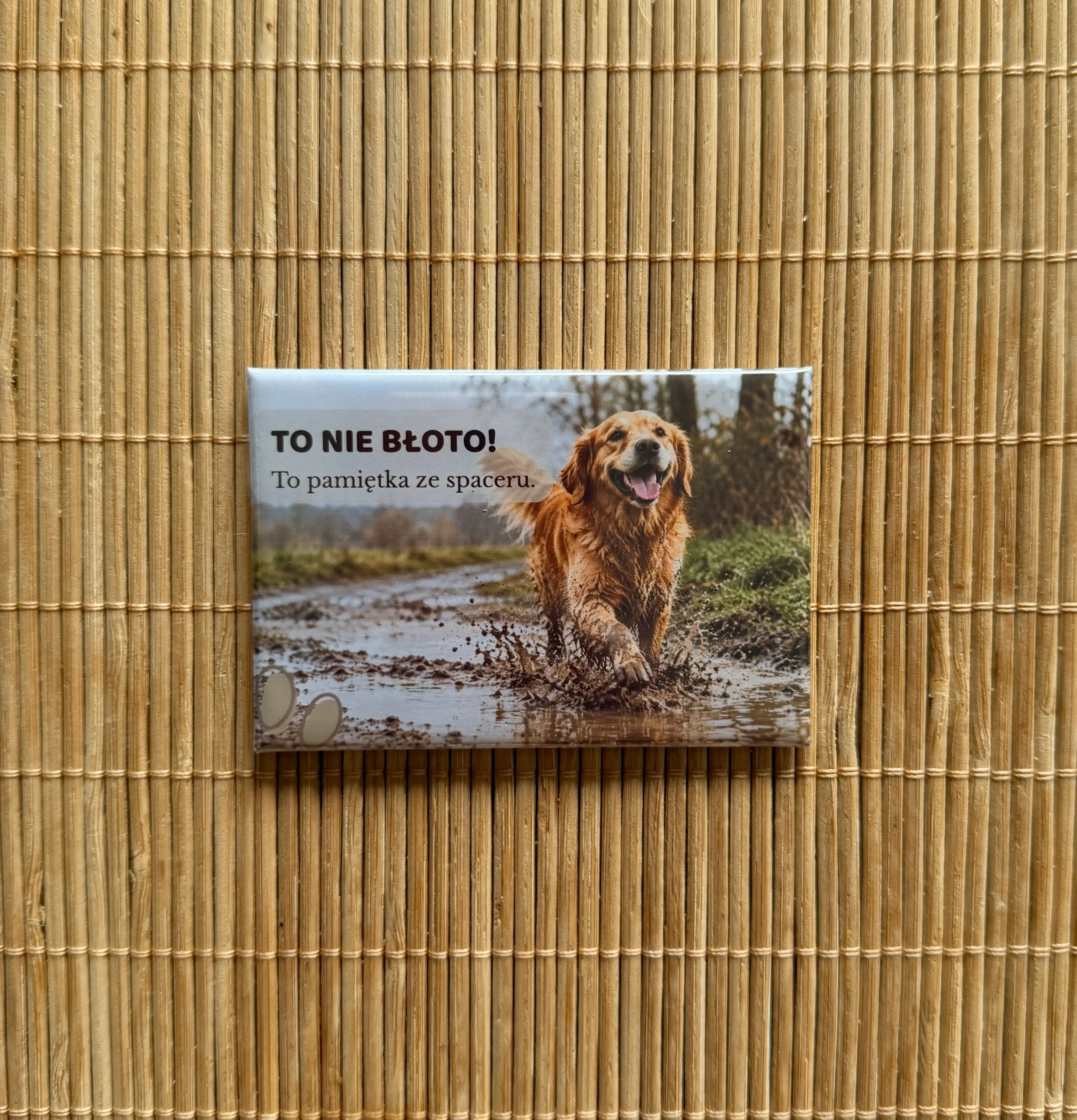 Magnes z goldenem retrieverem 2