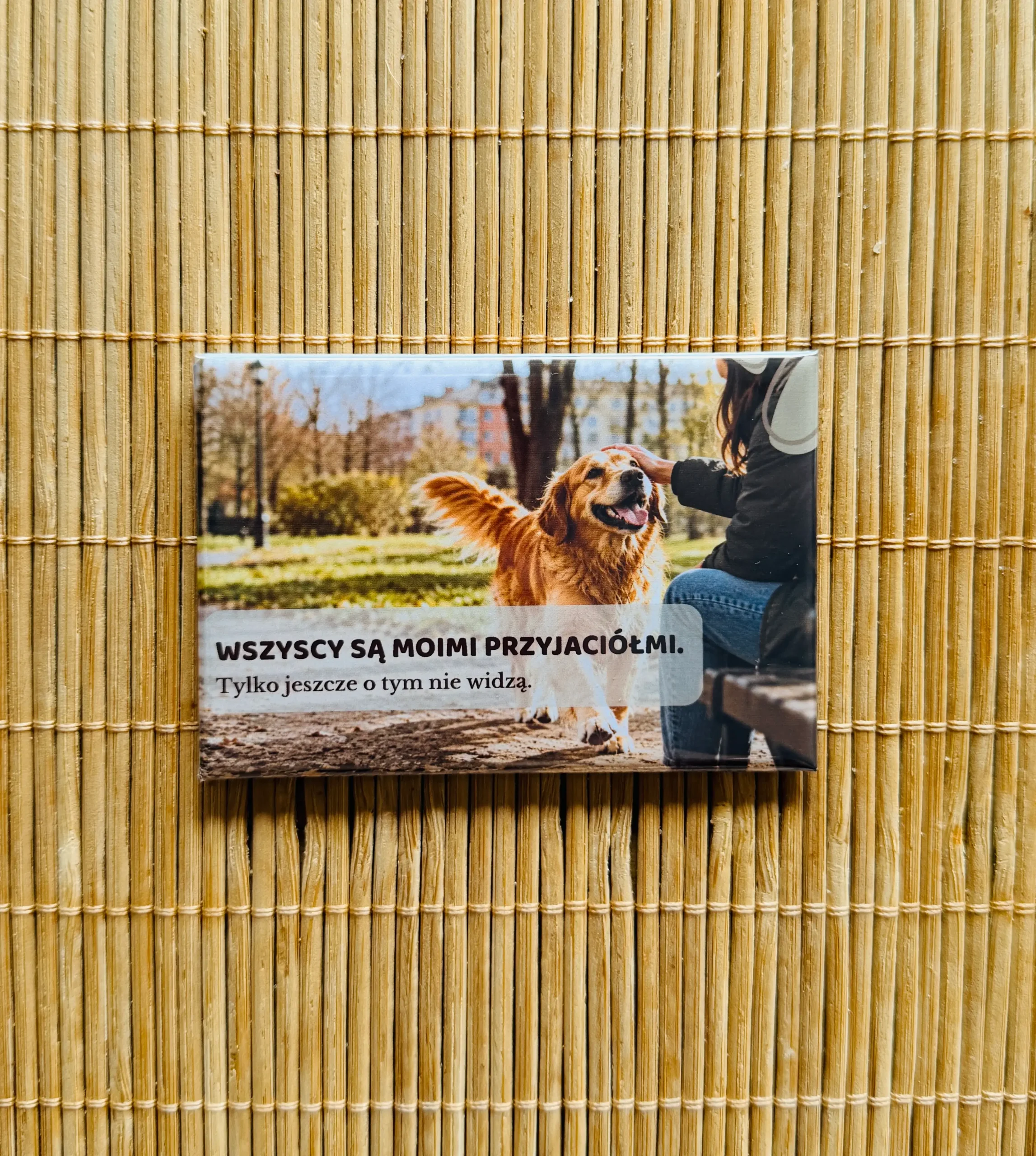 Magnes z goldenem retrieverem 3