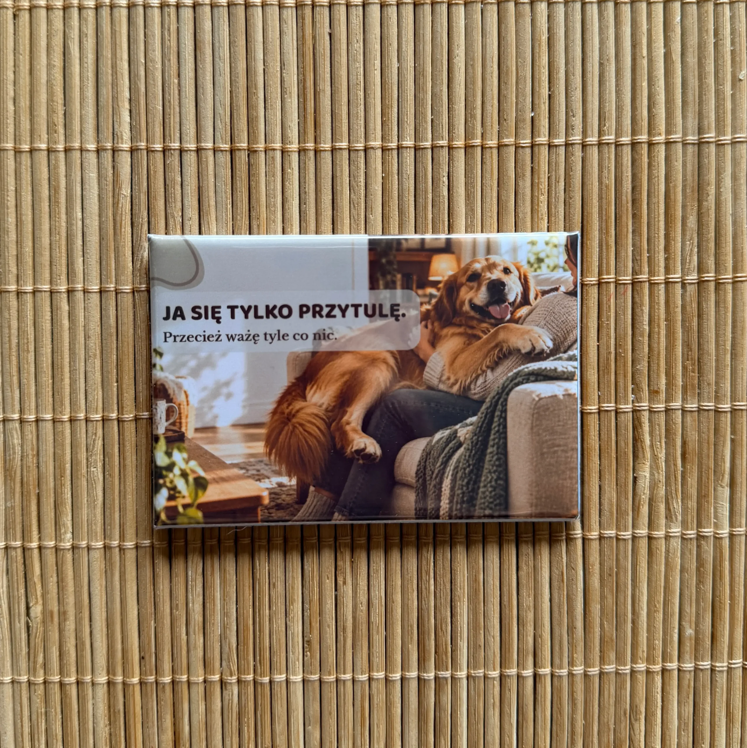 Magnes z goldenem retrieverem 4