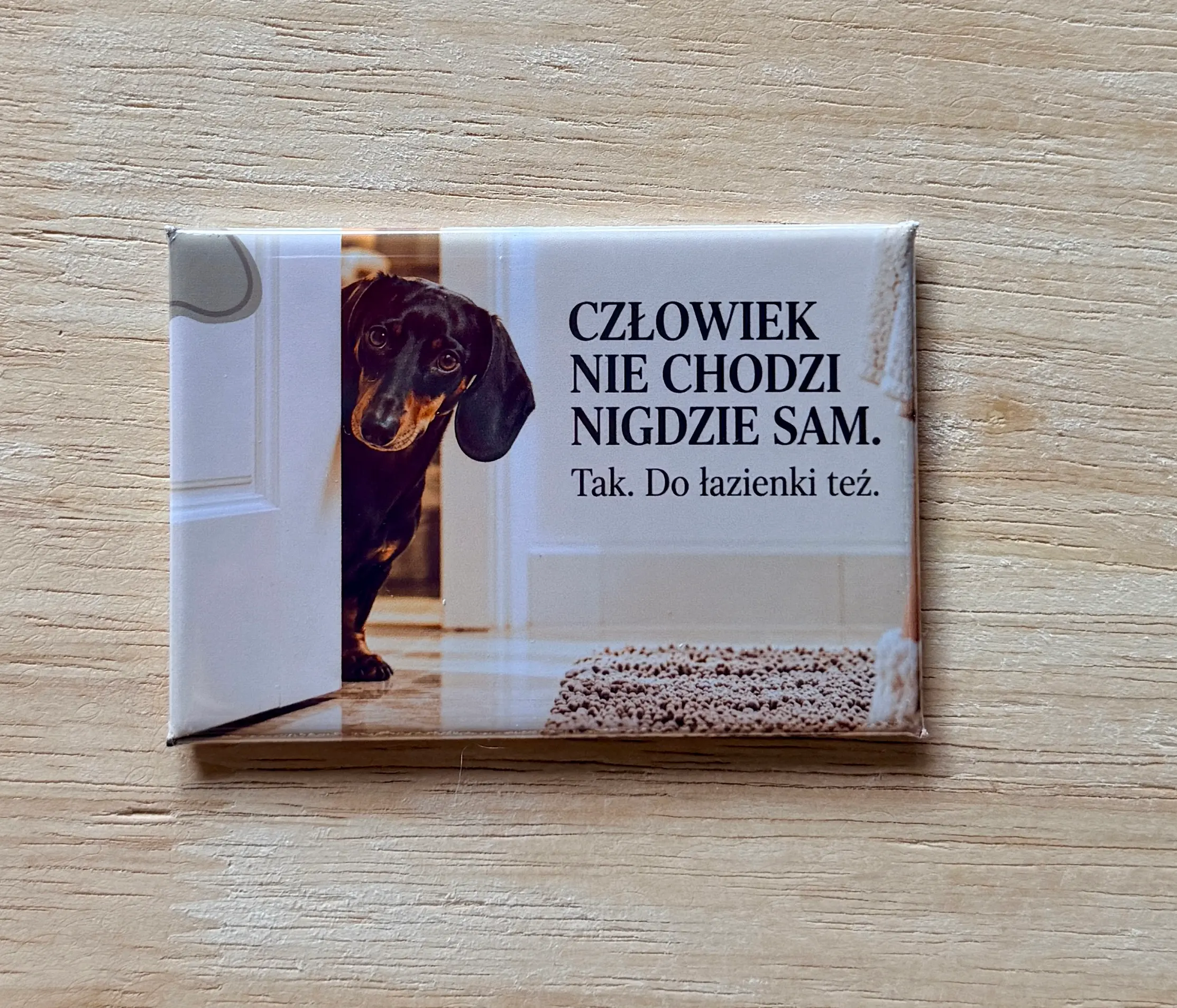 Magnes 4 z czarnym podpalanym jamnikiem