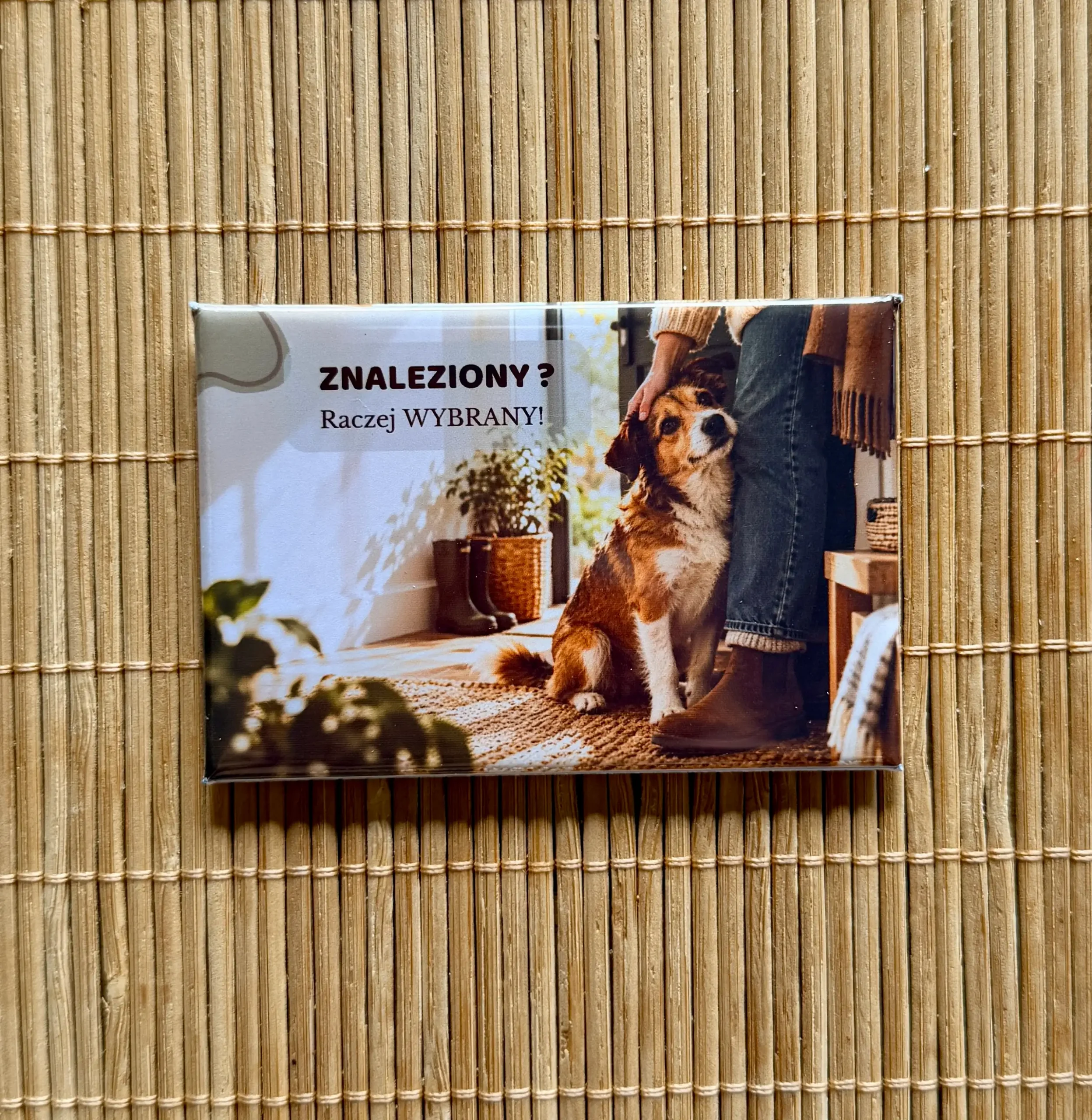 Magnes z kundelkiem 4