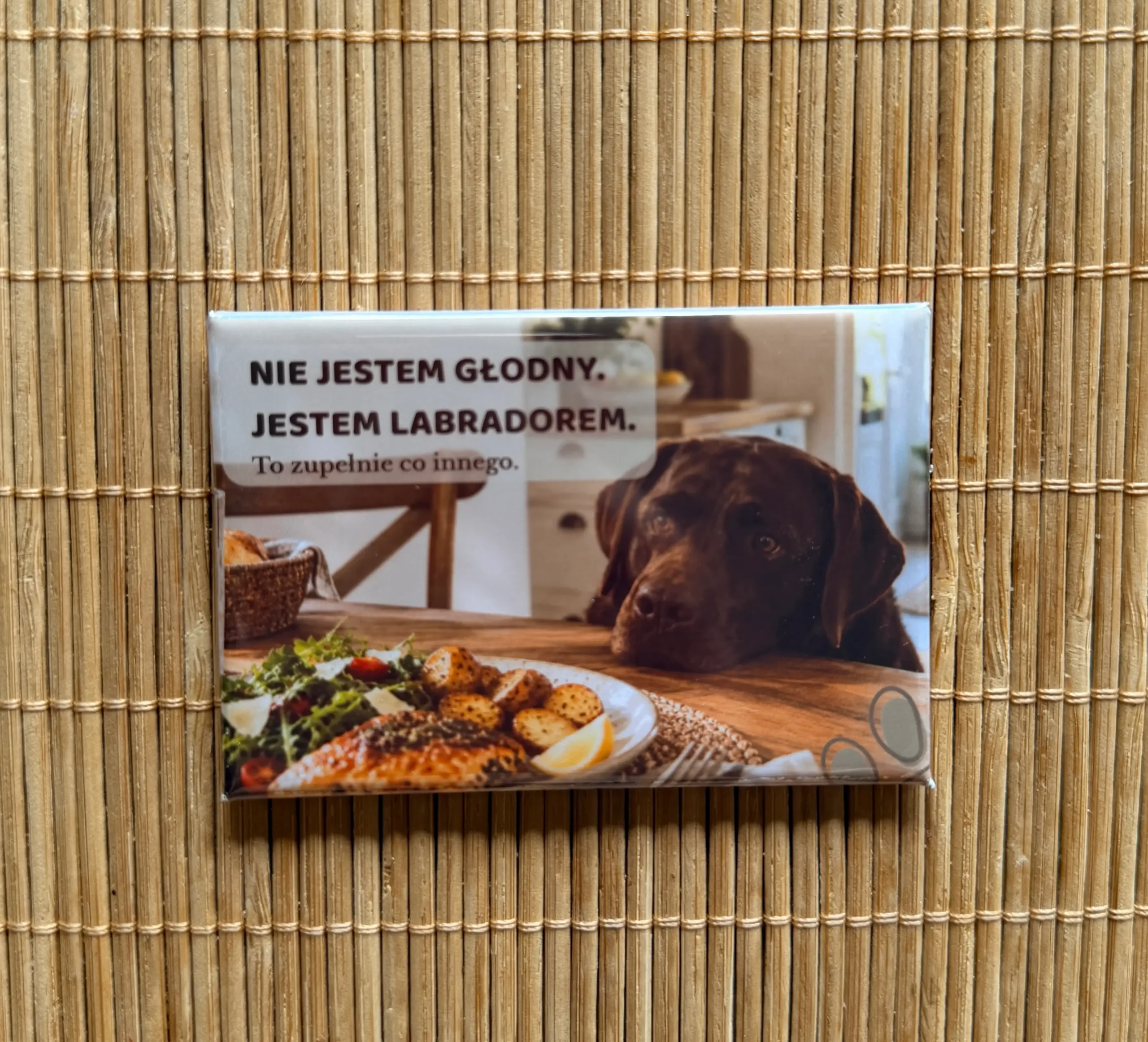 Magnes z labradorem 1