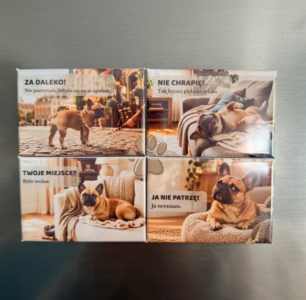 DOMOWE HISTORIE · Buldog francuski