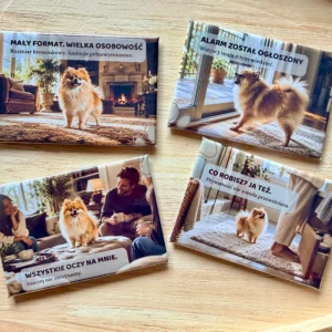 DOMOWE HISTORIE · Pomeranian