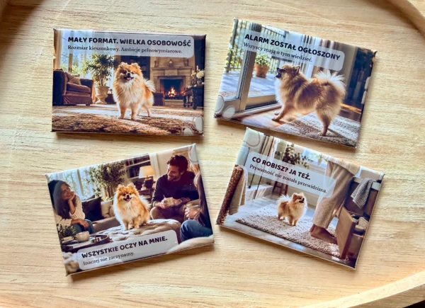 DOMOWE HISTORIE · Pomeranian