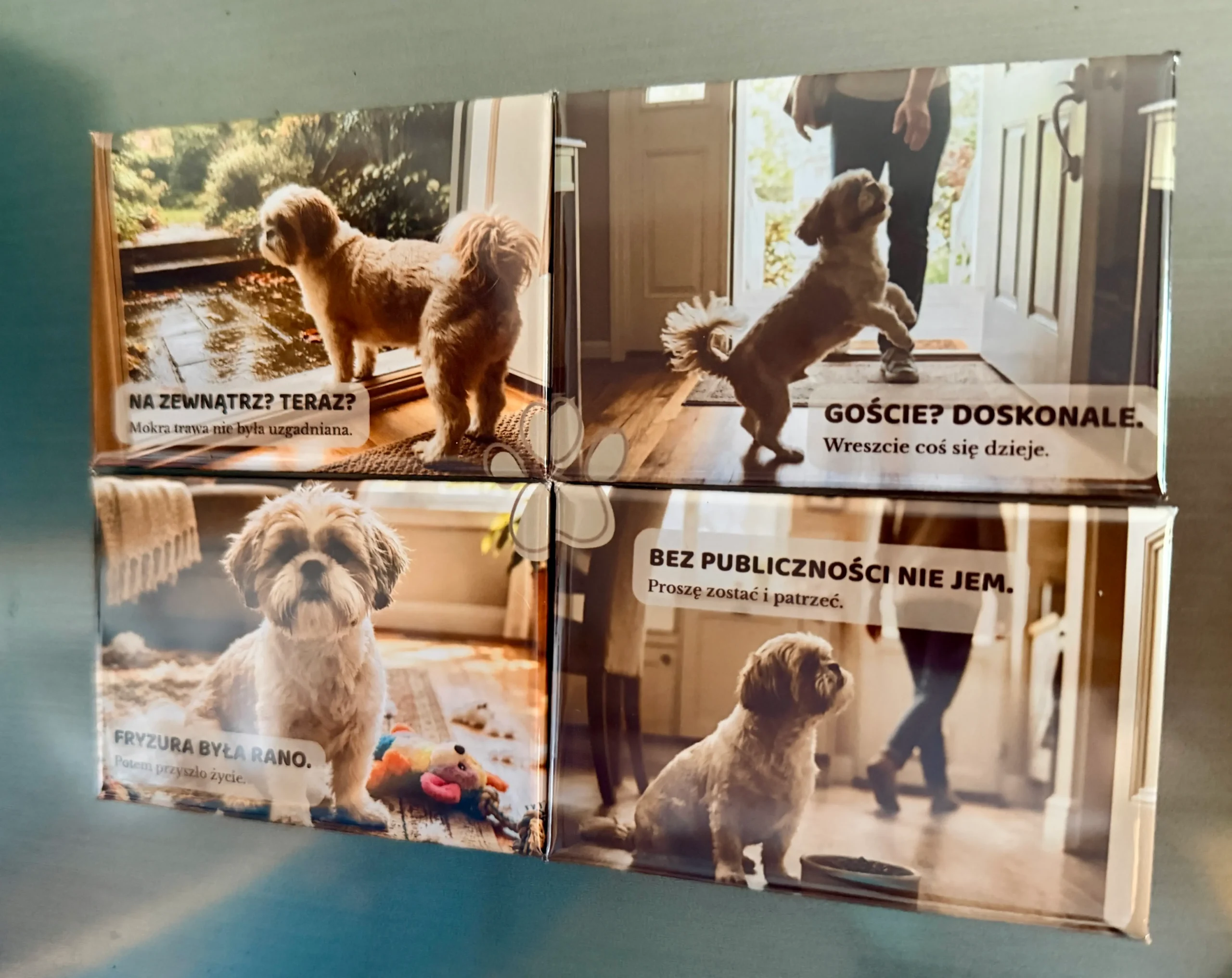 Zestaw czterech magnesów DOMOWE HISTORIE: Shih Tzu